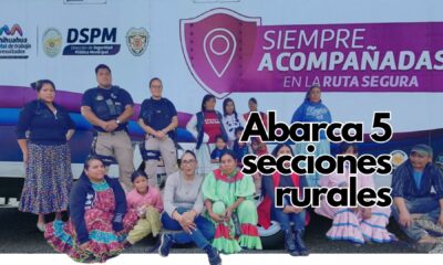 Seguridad Pública