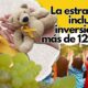 Cáncer infantil