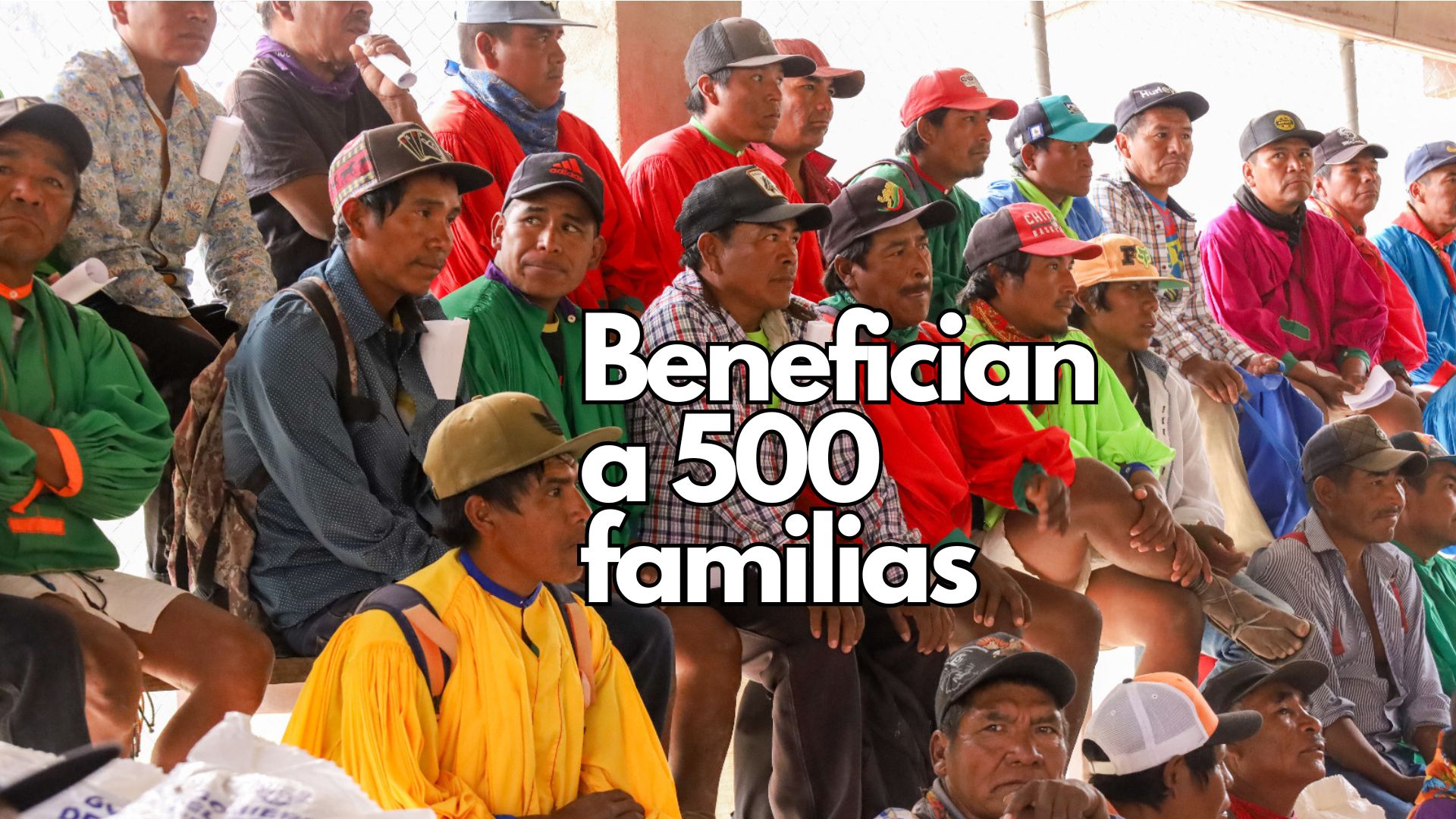 El Gobierno del Estado apoya a 500 familias indígenas de Batopilas con maíz y frijol para mitigar los efectos de la sequía en la Sierra Tarahumara.