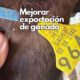 Capacitan a productores en el proceso de exportación de ganado tras reapertura de estación cuarentenaria San Jerónimo-Santa Teresa