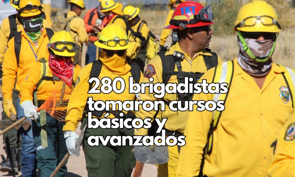 A través de talleres, se dota de conocimientos teóricos y prácticos al personal de campo