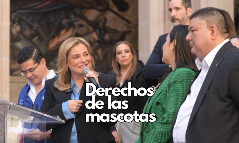 Maru Campos presenta plan integral contra el maltrato animal en Chihuahua