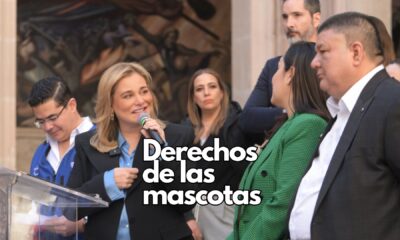Maru Campos presenta plan integral contra el maltrato animal en Chihuahua