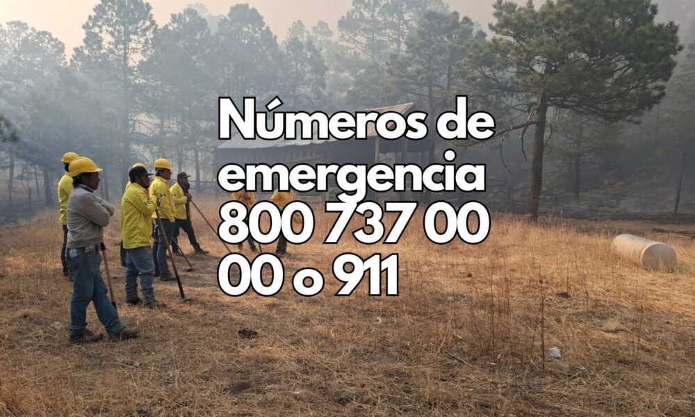 143 brigadistas combaten siete incendios forestales en cuatro municipios