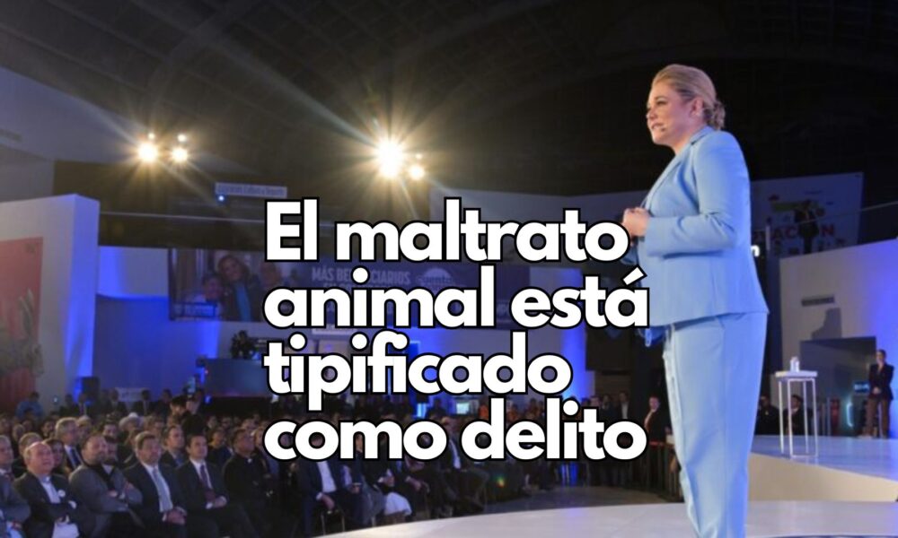 Maru Campos ordena investigación a fondo por el caso de la perrita “Violeta”