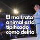 Maru Campos ordena investigación a fondo por el caso de la perrita “Violeta”