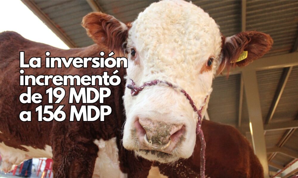 Desde el inicio de la administración de la gobernadora Maru Campos, la inversión en este rubro se incrementó de 19 millones de pesos en 2022, a 156 mdp en 2024