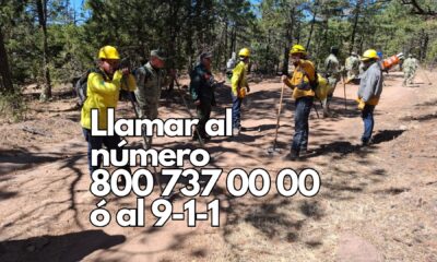 Más de 160 brigadistas combaten 11 incendios forestales activos en Chihuahua