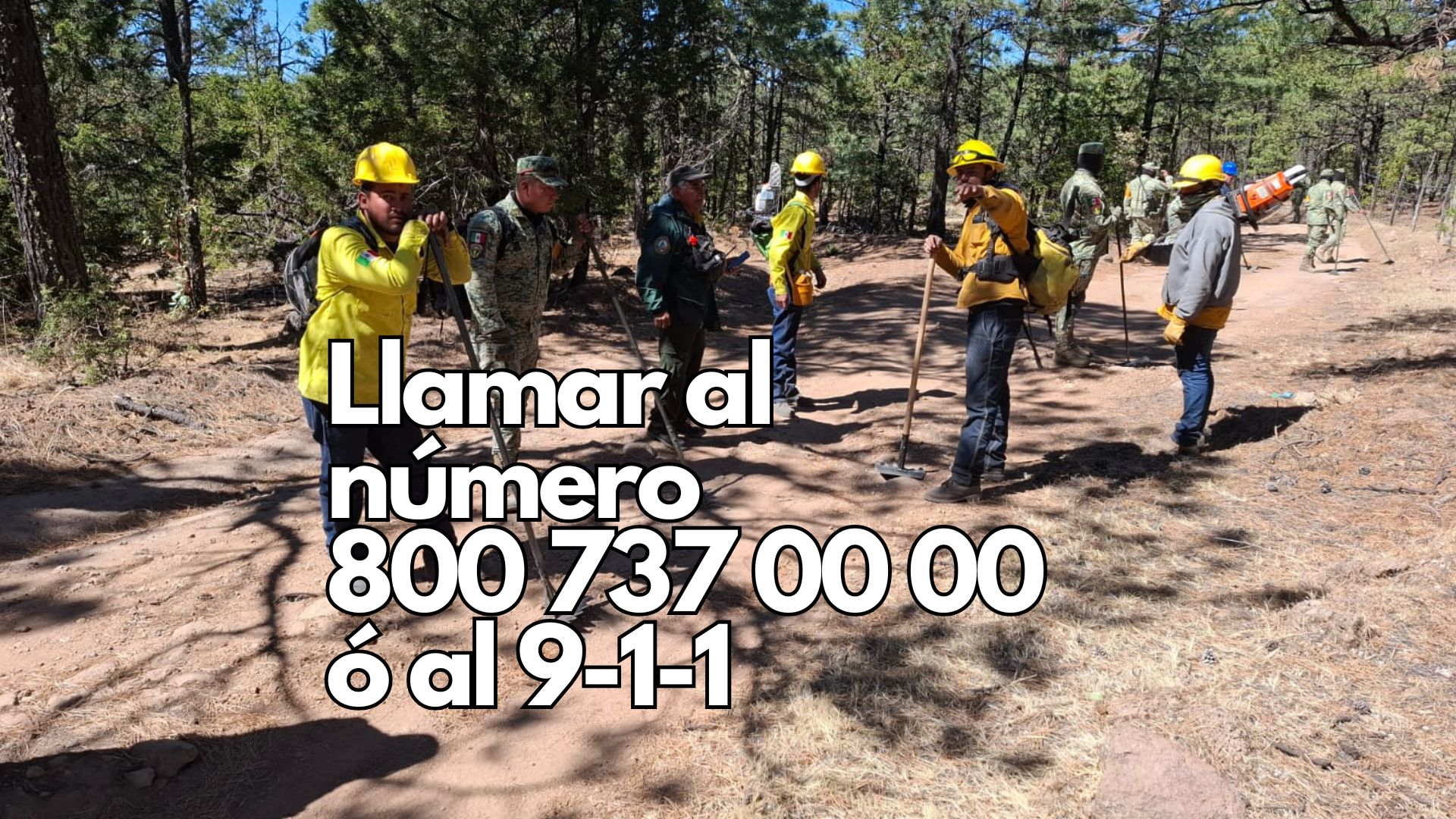 Más de 160 brigadistas combaten 11 incendios forestales activos en Chihuahua