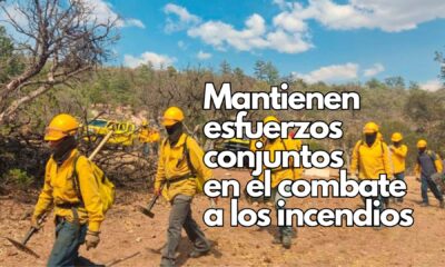 Autoridades estatales y federales acuerdan en Mesa de Seguridad mantener coordinación en combate de incendios forestales