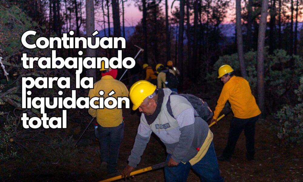 Disminuyen incendios forestales activos en el estado; continúan labores para extinguir cinco siniestros