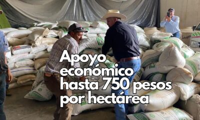 Secretaría de Desarrollo Rural, invita a los productores a participar en el programa