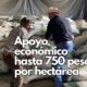 Secretaría de Desarrollo Rural, invita a los productores a participar en el programa