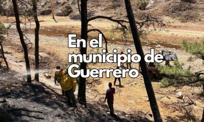 Protección Civil refuerza acciones contra incendios forestales en la región de Guerrero, Chihuahua