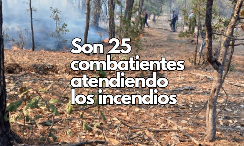 Despliegan brigadas para combatir tres incendios forestales en el estado