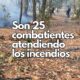 Despliegan brigadas para combatir tres incendios forestales en el estado