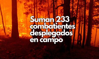 Controlado en un 90% incendio forestal en Guazapares: SDR
