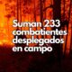Controlado en un 90% incendio forestal en Guazapares: SDR