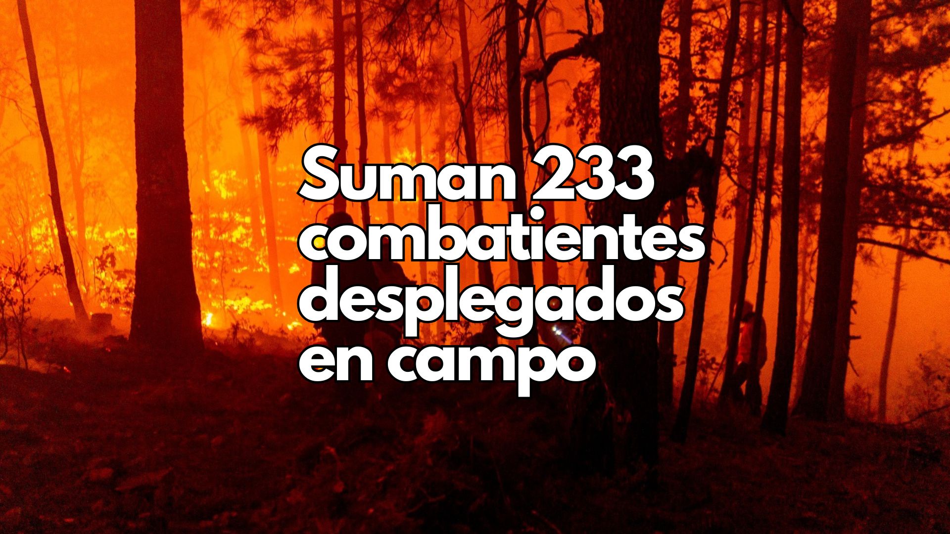 Controlado en un 90% incendio forestal en Guazapares: SDR