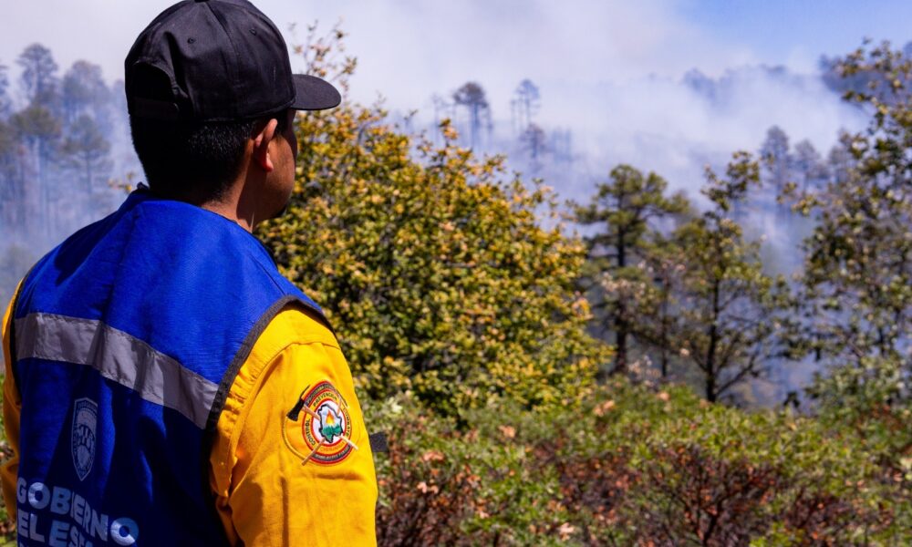 Siete incendios forestales activos movilizan a más de 130 brigadistas en Chihuahua