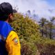 Siete incendios forestales activos movilizan a más de 130 brigadistas en Chihuahua