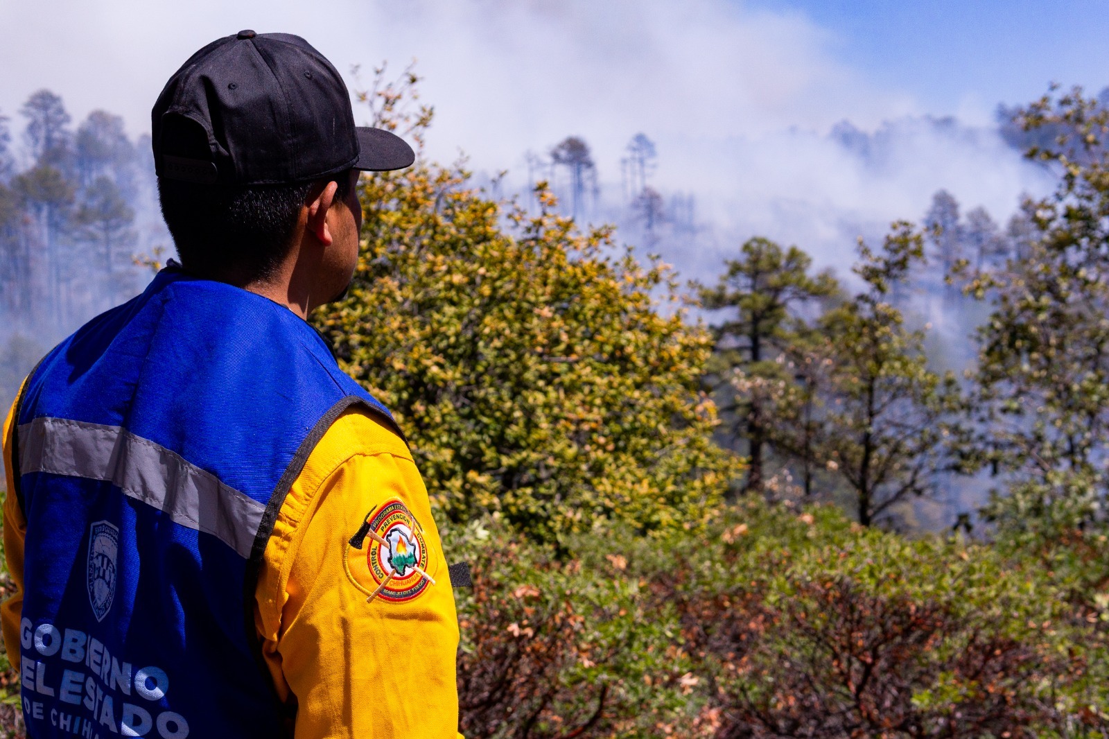 Siete incendios forestales activos movilizan a más de 130 brigadistas en Chihuahua