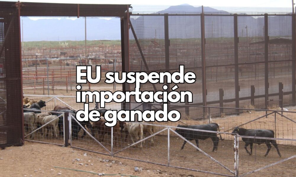 Chihuahua no registra casos de GBG: se mantiene libre de la enfermedad y refuerza su vigilancia sanitaria