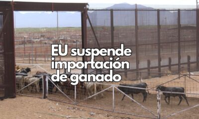 Chihuahua no registra casos de GBG: se mantiene libre de la enfermedad y refuerza su vigilancia sanitaria