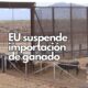 Chihuahua no registra casos de GBG: se mantiene libre de la enfermedad y refuerza su vigilancia sanitaria