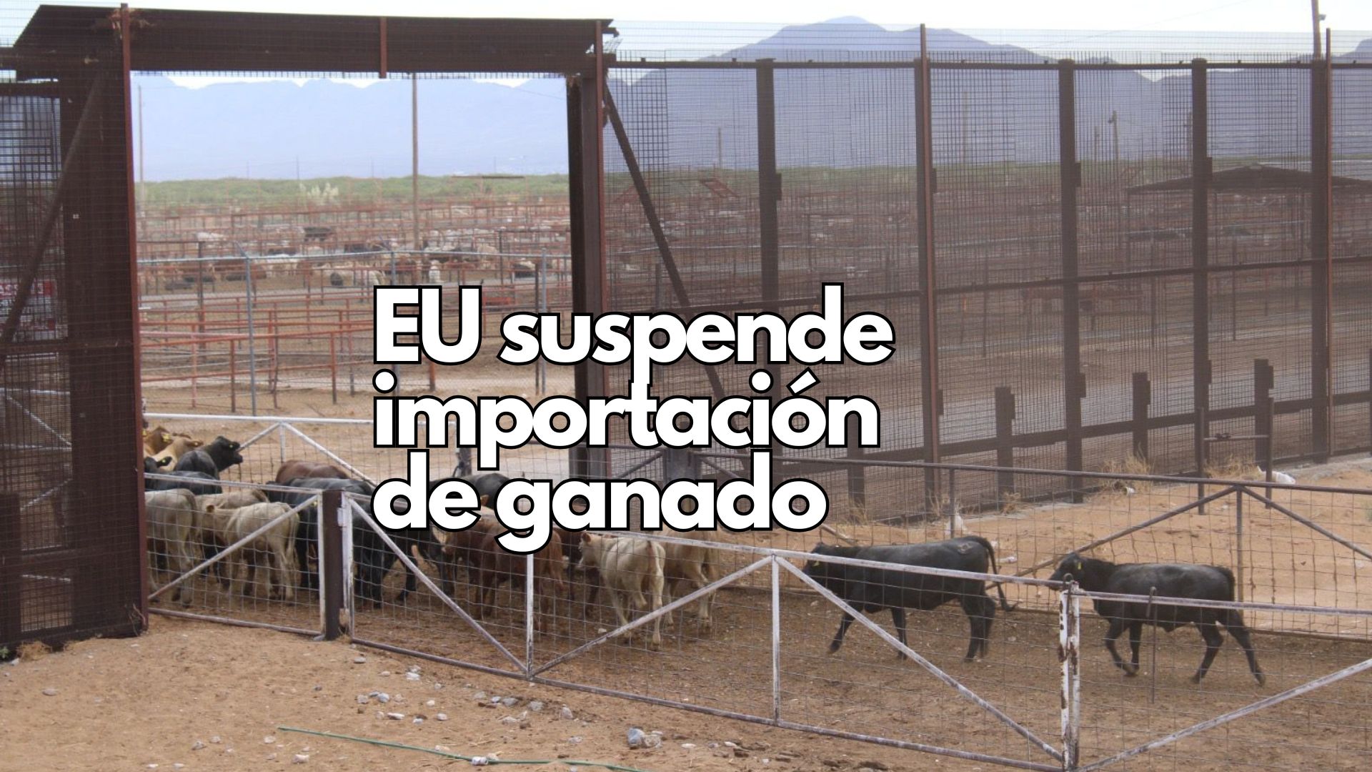Chihuahua no registra casos de GBG: se mantiene libre de la enfermedad y refuerza su vigilancia sanitaria