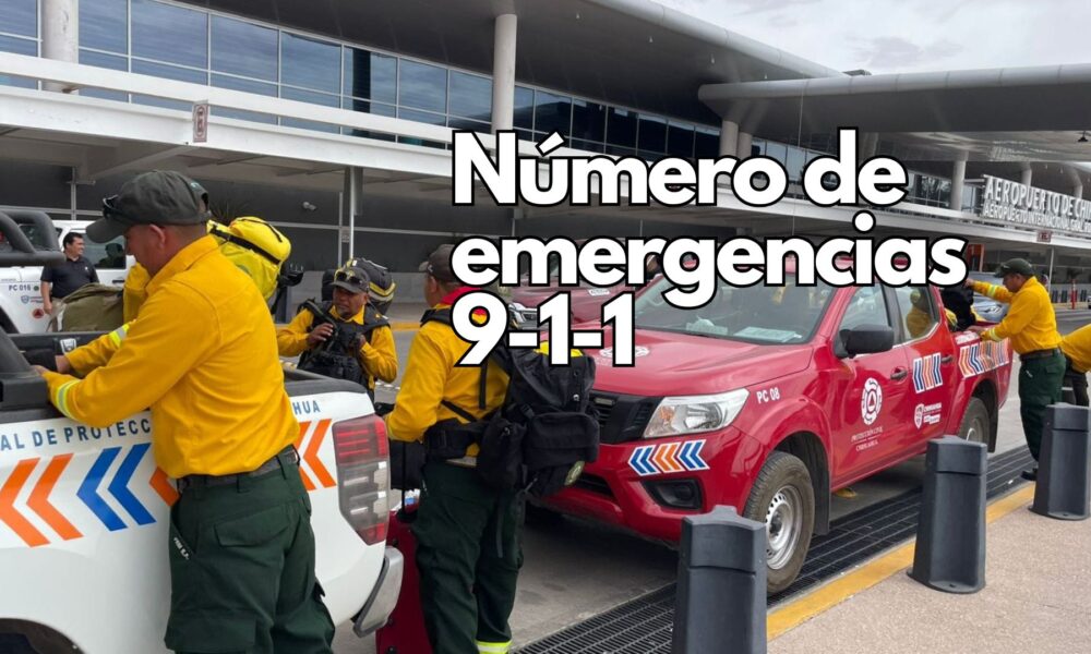 Refuerzan brigadistas del Estado de México labores contra incendios forestales en Madera