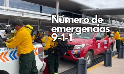 Refuerzan brigadistas del Estado de México labores contra incendios forestales en Madera