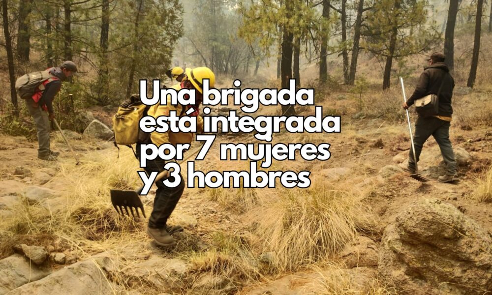 Suman 80 nuevos combatientes forestales para reforzar acciones contra incendios en la Sierra Tarahumara