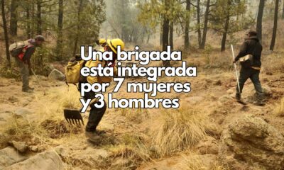 Suman 80 nuevos combatientes forestales para reforzar acciones contra incendios en la Sierra Tarahumara
