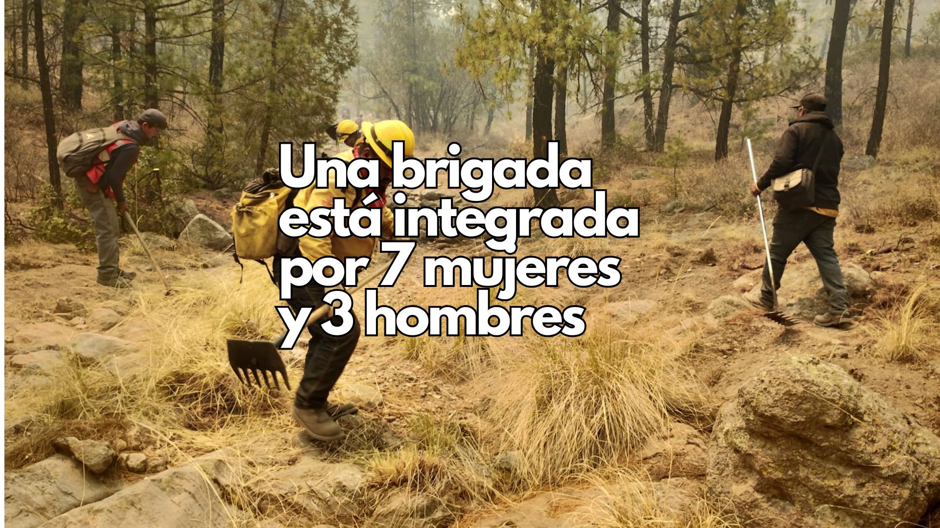 Suman 80 nuevos combatientes forestales para reforzar acciones contra incendios en la Sierra Tarahumara