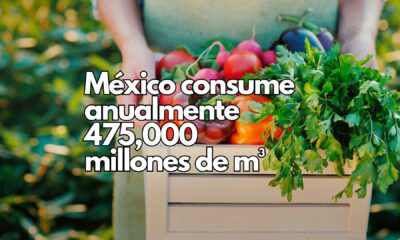 Menos agua, procesos más eficientes