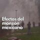 Buenaventura y Guachochi registran 50 mm de lluvia por monzón mexicano
