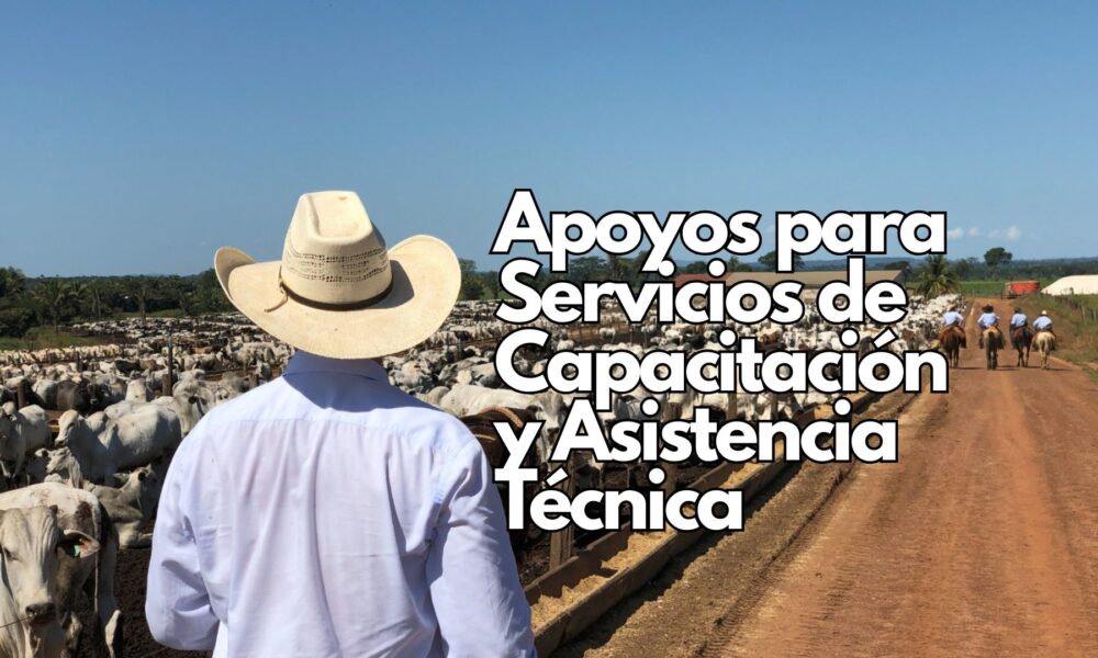 Cierre de la convocatoria de apoyo a productores de ganado bovino