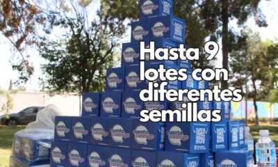 La Secretaría de Desarrollo Rural invita a la población a participar en la entrega de paquetes gratuitos de semillas de hortalizas.