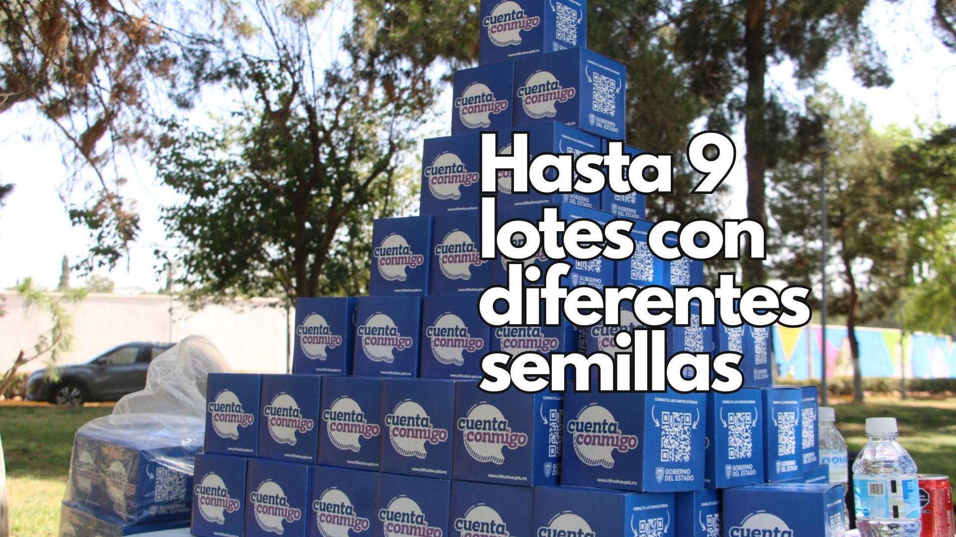 La Secretaría de Desarrollo Rural invita a la población a participar en la entrega de paquetes gratuitos de semillas de hortalizas.