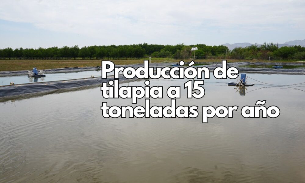 Impulsa Gobierno del Estado la producción acuícola en Chihuahua