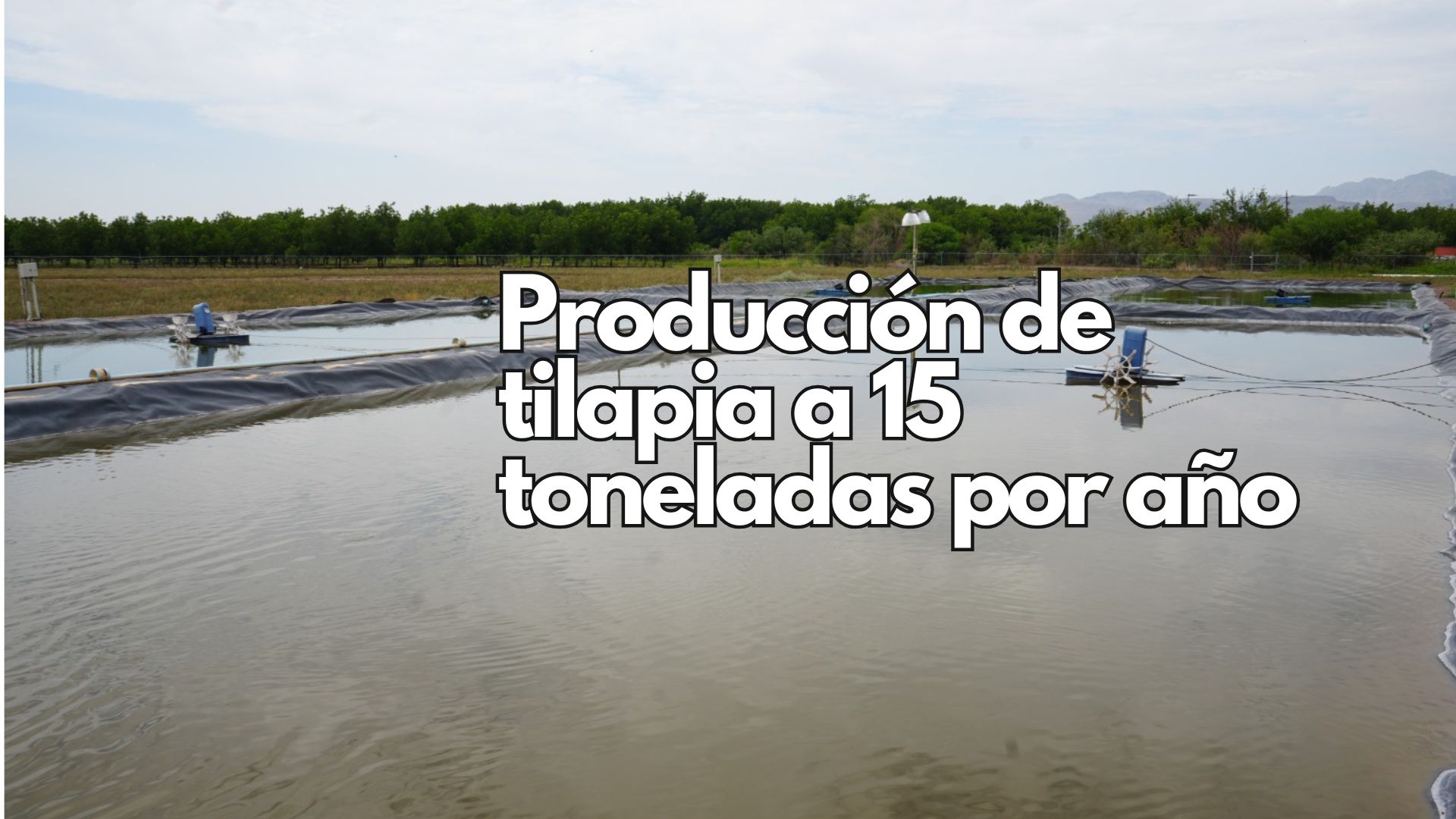 Impulsa Gobierno del Estado la producción acuícola en Chihuahua