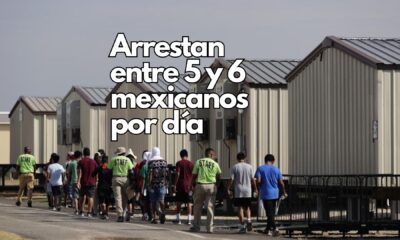 Arrestos de mexicanos en Los Ángeles bajan hasta un 80%, confirma cónsul Carlos González