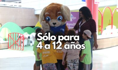 ¡Arranca el tercer curso del Verano Sensacional en el Museo Semilla y Parque El Colibrí!