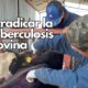 Entre las acciones más relevantes se encuentra la limpieza y desinfección de 28 corrales